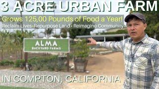 3 Acre Urban Farm in LA Grows 125,000 Pounds of Food a Year