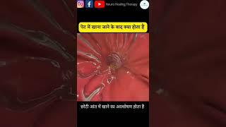 खाना शरीर में कैसे सफर करता है #shorts #shortvideo