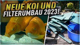 Es musste sein! Neue Koi 2023 und Filterumbau!