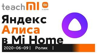 Яндекс Алиса в Mi Home — ЭКОСИСТЕМА Xiaomi: голосовое управление