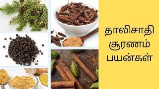 தாலிசாதி சூரணம் பயன்கள் | Thalisathi suranam benefits in tamil | Benifits Ulagam |