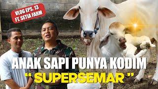 SUPERSEMAR PENGHUNI BARU SIAP AKSI FARM KODIM