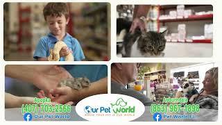 Pet World 30 seconds English