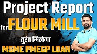 Project Report for Flour Mill | PMEGP 100% Loan | CA Sachin