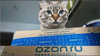 Стоит ли делать заказ на Ozon.ru?