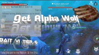 Westland survival! How to get (Alpha Wolf) Tier 6