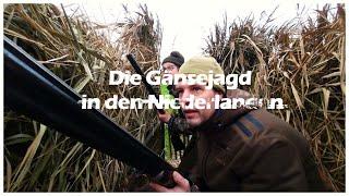 Goose hunting in the Netherlands