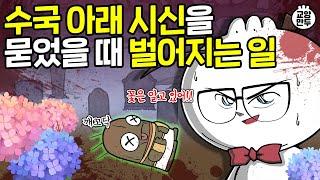 수국 색이 변할 때 알게 되는 소름돋는 사실｜ 꽃 선물하기 전 꼭 봐야 할 꽃말 이야기