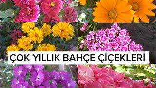 Bahçenize bir defa dikin YILLARCA sefasını sürünÇOK YILLIK BAHÇE ÇİÇEKLERİ ️#flowers#keşfet#plant