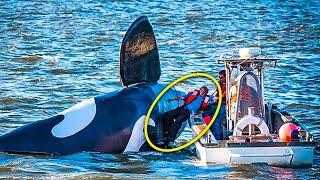 They came across a giant killer whale. Swimming closer, they noticed something frightening!