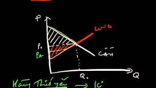 Giá trần và tổn thất vô ích | GiapSchool