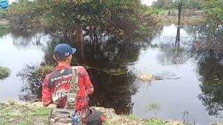 CASTING TOMAN DI HUTAN DANAU, JORAN SAMPAI TERBANG