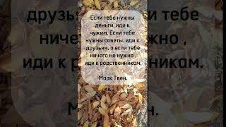 Цитата дня #жизнь #люди #отношения #родственники #марктвен