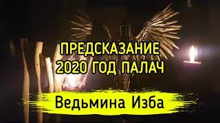 ПРЕДСКАЗАНИЕ 2020 ГОД ПАЛАЧ. ВЕДЬМИНА ИЗБА ▶️ МАГИЯ