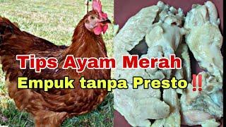 Cara masak dan tips ayam merah cepat empuk tanpa presto,Buktikan ‼️