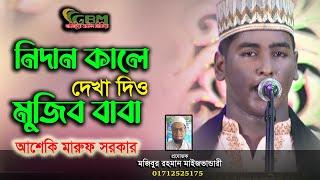 নিদান কালে দেখা দিও মুজিব বাবা মাইজ ভান্ডারী | আশেকী মারুফ সরকার | Vandari Gaan | Maruf Sarkar