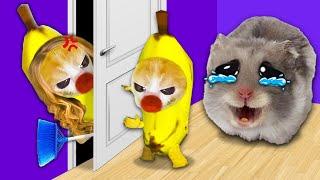 Banana Cat's Big Heart: Saving Sad Hamster, Facing Mom's Wrath!  | Baby Banana Cat Compilation 