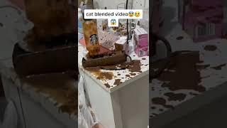 Cat blending full video #catblending #cat #viral