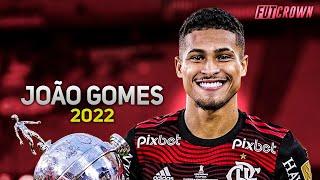 João Gomes 2022 ● Flamengo ► Amazing Skills, Goals & Tackles | HD