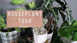 Houseplant Tour January 2020  // Angels Grove Co & SIPSBY