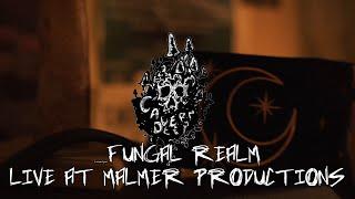 Fungal Realm (Live at Malmer Productions) - Cavern Deep