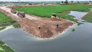 Update Project Huge Land Filling Up In Water By Bulldozer SHANTUI DH17C3 and 25 Ton Dump Truck