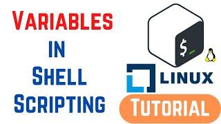 How to Use Variables in Shell Scripting | Shell Scripting Tutorial for Beginners