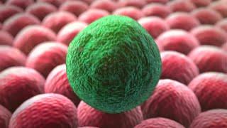 Cell division | 3D animation