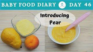 Baby Food | Baby Food Diary | Day 46 | Pear Recipe For Baby Food | 7+