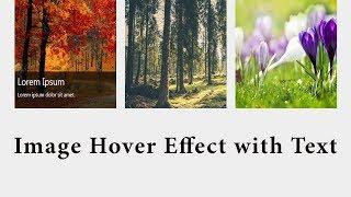 Image Hover Effect with Text | Image hover effect with text