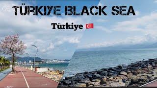 black sea turkey | black sea north coast turkey | Go Türkiye | Turkey