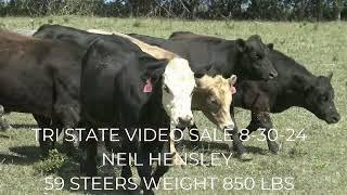 Tri State Video sale 8-30-24 at 1pm