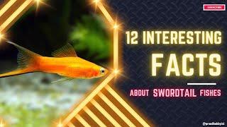 12 Facts about Swordtail | Facts about Swordtails | Proud Hobbyist