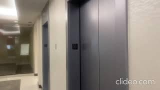 (MOD???) Schindler Haughton M-SERIES Elevators at Broward Financial Center in Fort Lauderdale, FL