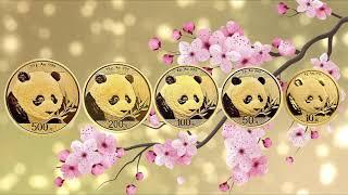 China Panda Gold Coins