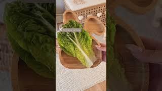 Tasty veggies to feed your rabbits | Safe foods to feed your bunny | Vegetables | Herbs | Pet Health