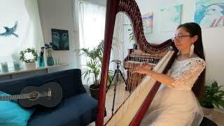 Evenstar - harp arr. Cecile-Marie Lissens - Season 2: 35 / Salvi Hermes