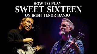 How To Play "WHEN YOU WERE SWEET SIXTEEN" On Irish Tenor Banjo