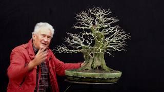 SandevBonsai - 2018. Bonsai sessions with Walter Pall/Part 2