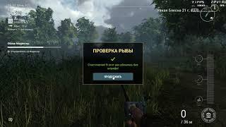 крупный баг с деньгами fishing planet