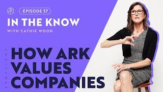 ITK with Cathie Wood | How ARK Values Companies