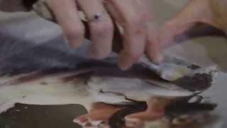 Encaustic Photography with Leah Macdonald