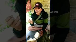 BELAH DUREN GAGAL TOTAL‼️#short #shorts #shortsviral #shortslucu #videoshortsviral #viral