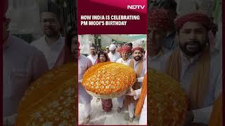 PM Modi Birthday Celebration | How India Is Celebrating PM Modi's Birthday