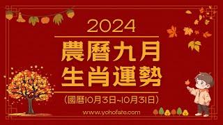 2024甲辰龍年｜農曆九月（10/3-10/31）｜生肖運勢月報｜雨揚樂活家族