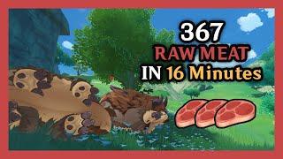 Raw Meat Farming | 367 Meats in 16 Minutes | Speedrun Farming 15 Routes | ⟨Genshin Impact⟩