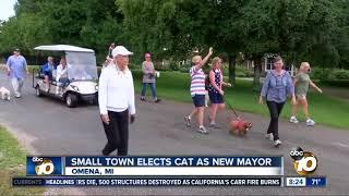 Small town elects cat as new mayor