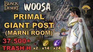 BDO | Giant Post is Much Easier with Woosa Succession | PvE Combo Addons | Lv.2 37500/H Marni Room |