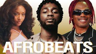 AFROBEAT BEST VIDEO MIX 2024 - NAIJA AFROBEAT | AFROBEATS | AMAPIANO | KIZZ DANIEL, AYRA STARR, CKAY