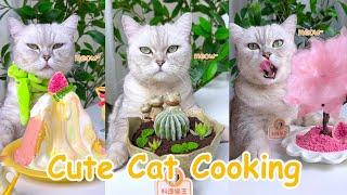 Cat Cooking Food: Some Easy Delicious You Can Make at Home | Cute Cat TikToks |Cooking With ChangAn